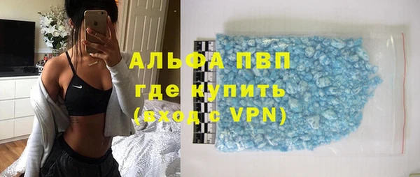 МДПВ Бородино