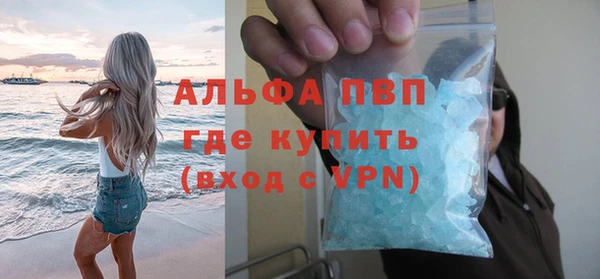 МДПВ Бородино
