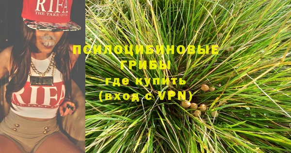 МДПВ Бородино