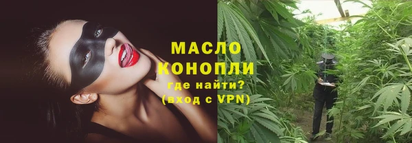 МДПВ Бородино