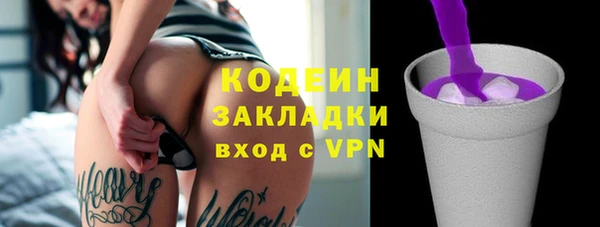 МДПВ Бородино