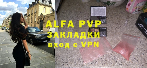 МДПВ Бородино