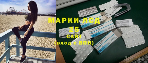 МДПВ Бородино