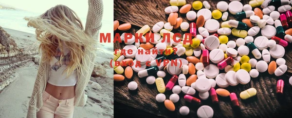 МДПВ Бородино
