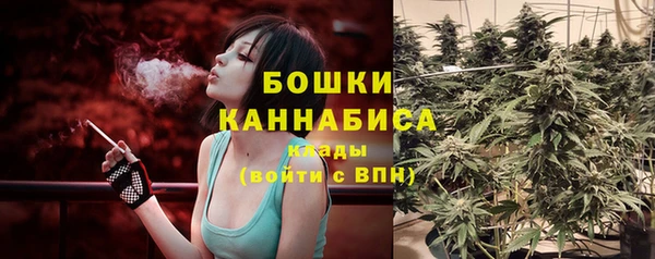 МДПВ Бородино