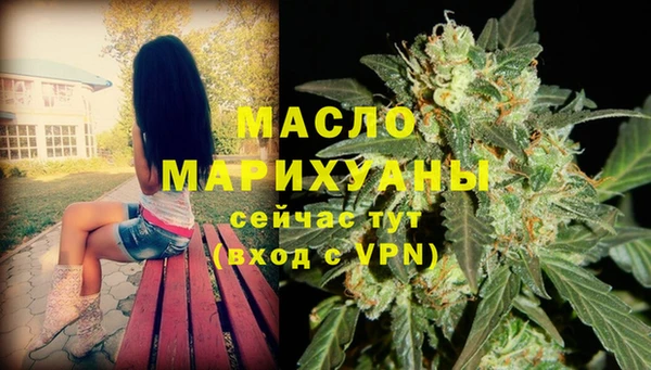 МДПВ Бородино